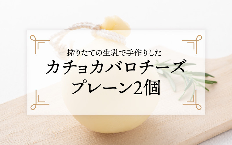 
搾りたての生乳で手作りした、カチョカバロチーズ 2個詰め合わせ（プレーン） [A-11904]
