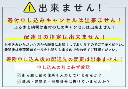 【先行予約】北海道森町産みやこかぼちゃ 6～8玉 10kg前後（令和8年7月下旬より順次発送） mr1-1340