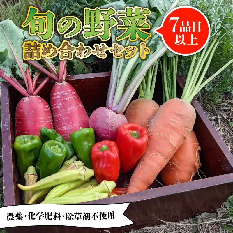 【先行受付】旬のお野菜セット 詰め合わせ （7～10品目） 旬 野菜 国産 こだわり野菜セット 京都府産野菜セット 京丹波町産野菜セット 季節 セット 野菜セット
