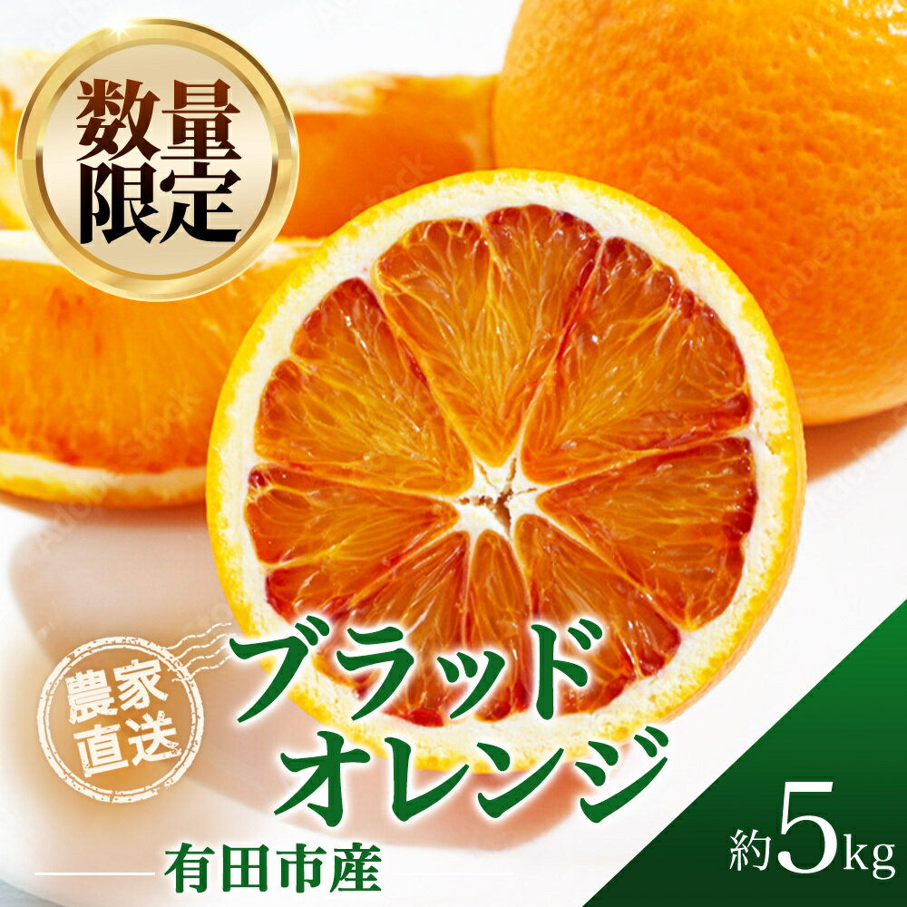 【ふるさと納税】ブラッドオレンジ 5kg 濃厚 柑橘 フルーツ 果物 くだもの みかん 人気 おすすめ 送料無料 国産 和歌山 有田市【2026年2月中旬から順次お届け】（A143-1）