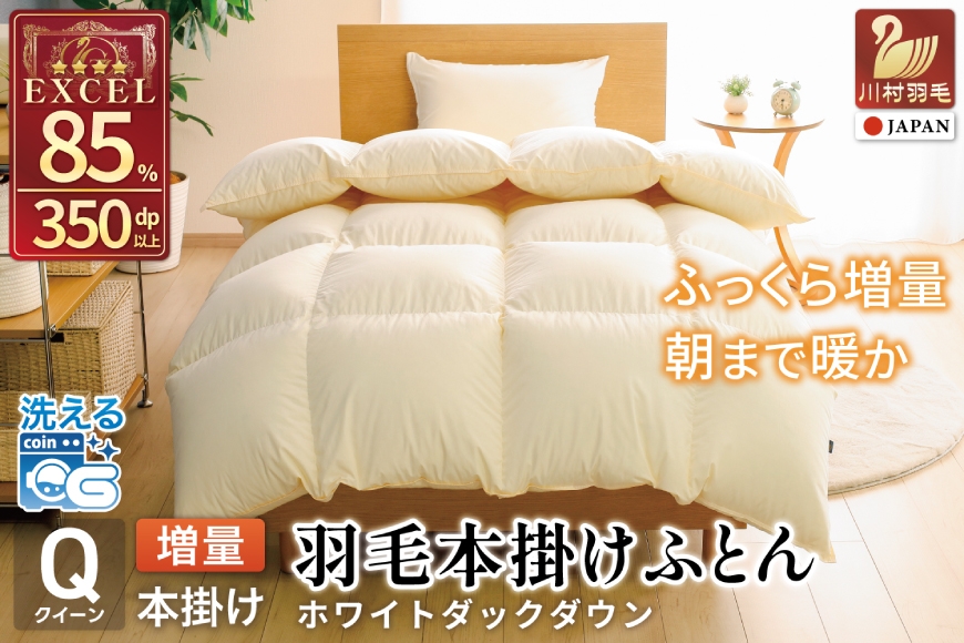 
                  【冬用】 洗える 羽毛布団 本掛け 増量 クイーン ホワイトダックダウン 85％ 1.8kg 無地 アイボリー [川村羽毛 山梨県 韮崎市 20745482] かけ布団 冬 掛け布団   布団 ふとん 羽毛 掛布団 寝具 4つ星 エクセルゴールドラベル ダウンケット 日本製 国産 抗菌 防臭 送料無料
                