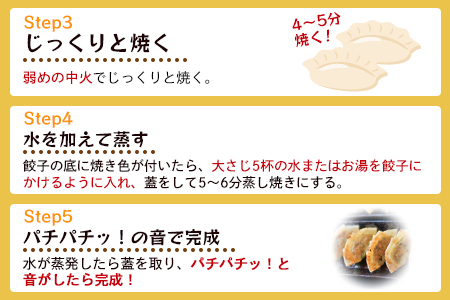 【数量限定！】＜ニンニク餃子(12ヶ入×5パック)＞【MI282-fu】【福栄生餃子店】