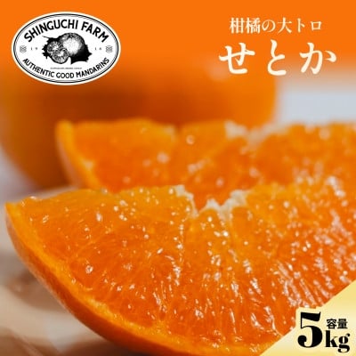 
            ＜2026年2月発送＞柑橘の大トロ＜せとか5kg(約15個～30個)＞家庭用＜G70-57＞【1554059】
          