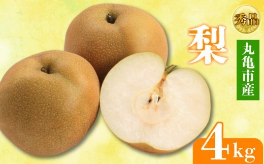 【2026年8月上旬より順次発送】 【秀品】 梨  約4kg 丸亀産 ナシ 果物 フルーツ 果肉 果汁 季節 甘い デザート ゼリー ジュース ふるさと納税フルーツ 香川県 丸亀市 約4kg (26,