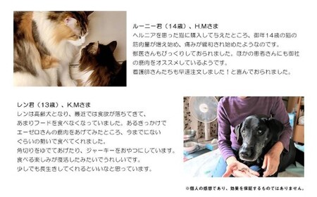 【6回定期便】 森のジビエ for PET 鹿肉 2kg ペットフード 犬 猫 A-JK-C02H