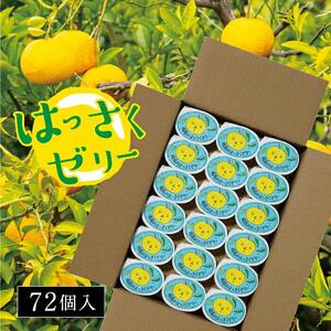 因島のはっさくゼリー72個入り ゼリー