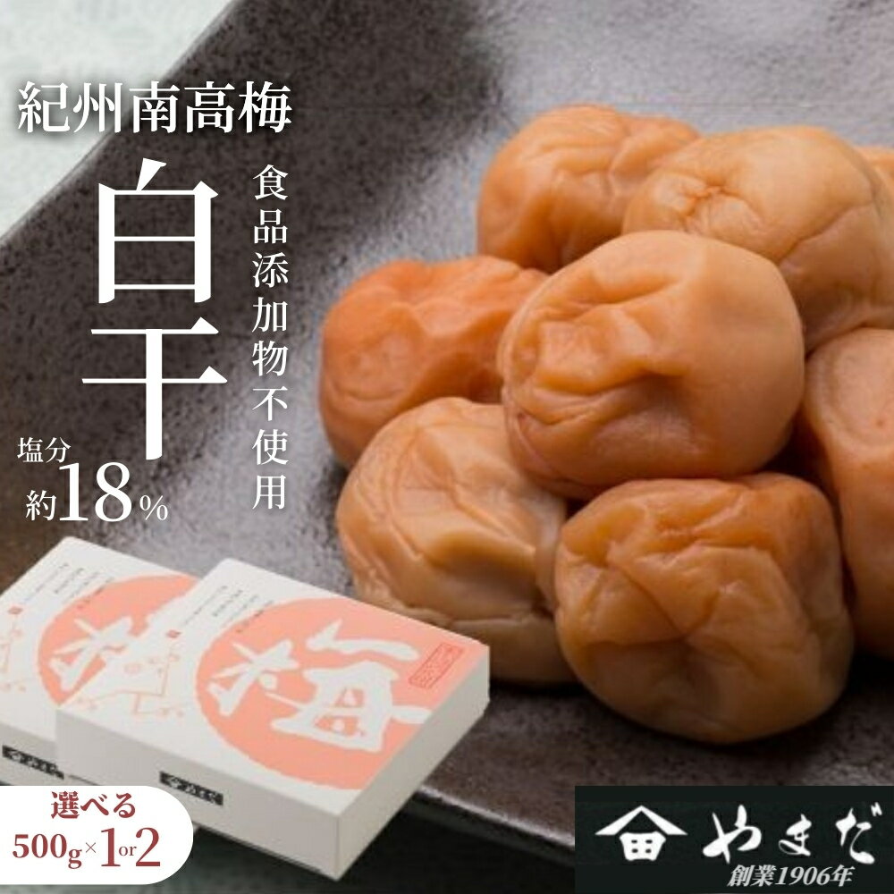 【ふるさと納税】紀州南高梅 白干（塩分約18%） 500g～1kg (500g×2) | 南高梅 梅干し 着色料不使用 甘味料不使用