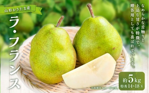 山形おきたま産 ラ・フランス（特秀） 14玉～18玉 （約5kg） ラフランス 洋梨 梨 フルーツ 果物 果実 常温 山形県 白鷹町 【2026年11月上旬～12月上旬順次発送予定】