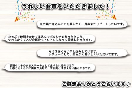 北海道産 黒毛和牛 こぶ黒 A5 煮込み ビーフシチュー 用 800g＜LC＞