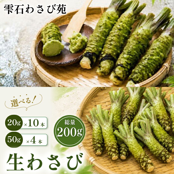 【ふるさと納税】 わさび おすすめ 雫石わさび苑 生わさび 総量 200g ／ 国産 新鮮 栽培期間中 農薬 化学肥料 不使用 ワサビ 山葵 生ワサビ 生山葵 野菜 やさい 香味野菜 調味料 薬味 お取り寄せ 産地直送 自宅用 家庭用 贈答用 仕送り プレゼント 岩手県 雫石町 送料無料