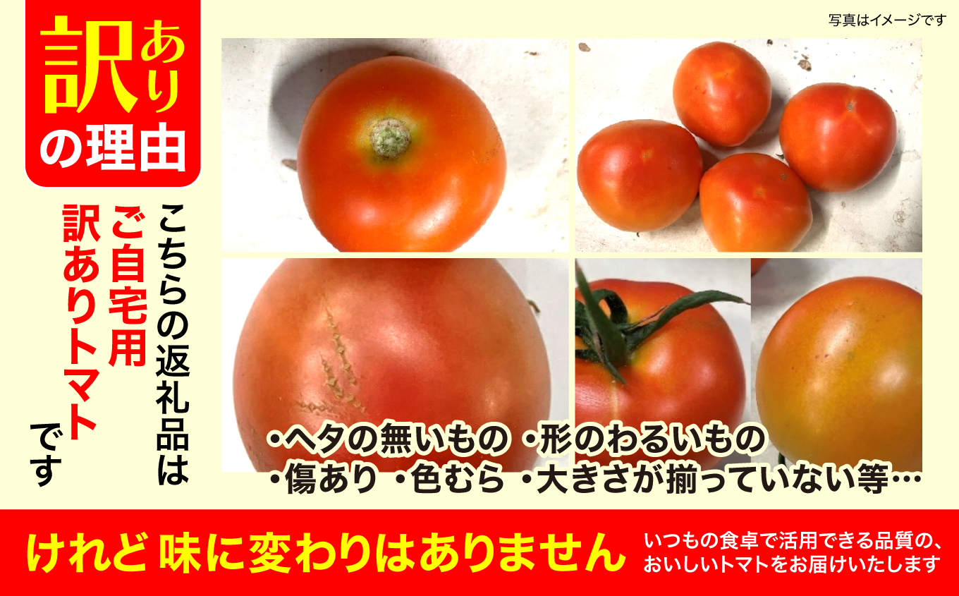【9月～12月】訳あり 中玉 トマト 約3.5kg×1箱 | 訳あり トマト 中玉トマト 3.5kg 1箱 産地直送 野菜 国産 福島県 いわき産 とまと 数量限定 規格外 不揃い フレッシュ ジュー