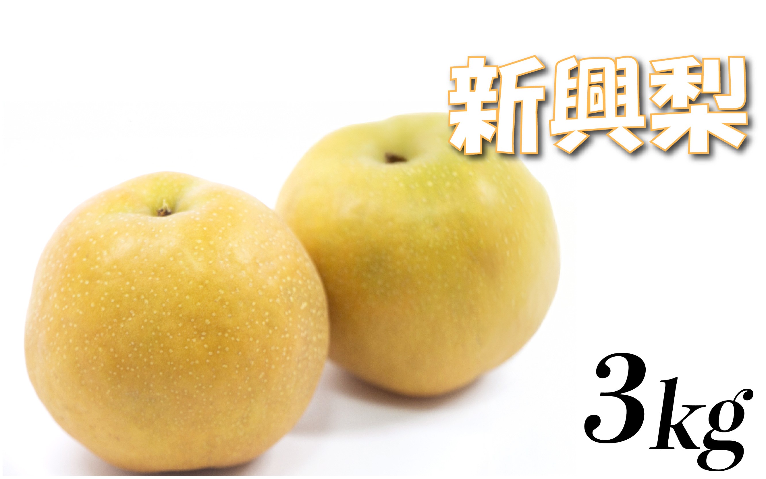 
                  【先行予約】中野農園 梨 ”新興梨” 3kg箱｜鳥取 岩美 梨 なし ナシ 赤梨 果物 フルーツ ※お届けは2026年11月以降【41083】
                