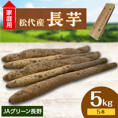 ふるさと納税 長野市 【先行受付】JAグリーン長野　松代産　長芋　5kg(5本)　家庭用