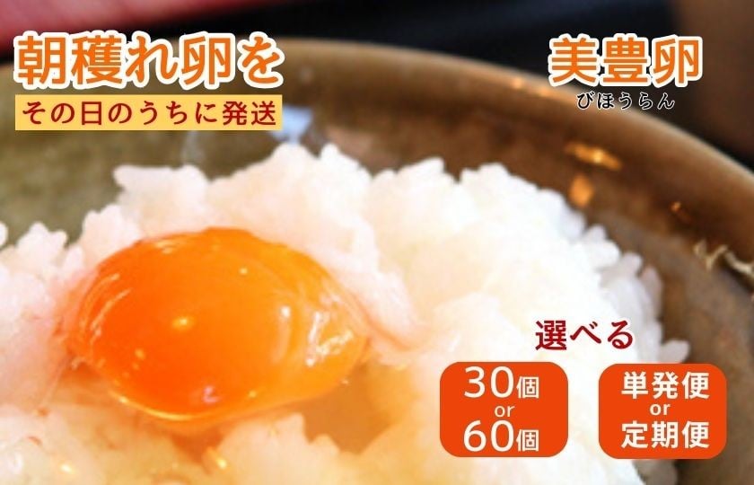 
                  たまご 卵 タマゴ 30個 or 60個　選べる 定期便 or 単発便 美豊卵 熊福 こだわり ふっくら 濃厚 朝穫れ ふるさと納税 送料無料 【四国中央市 日本一 紙のまち】
                