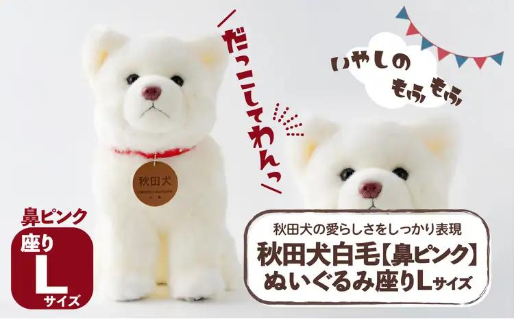 165P7305 秋田犬白毛(鼻ピンク)ぬいぐるみ　座りＬサイズ【秋田犬保存会】