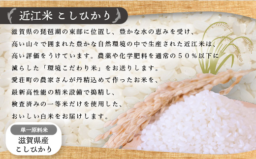 近江米　こしひかり　白米10kg　令和6年産 BD06