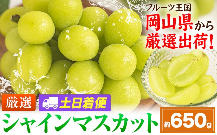 【土日着便】シャインマスカット 約650g(1房)【配送不可地域あり(離島)】《2026年9月上旬-11月上旬頃出荷》岡山県 笠岡市 シャインマスカット 厳選 ぶどう ブドウ 葡萄 マスカット 果物 フルーツ ギフト---kasaoka_zsy_417_650-hd---
