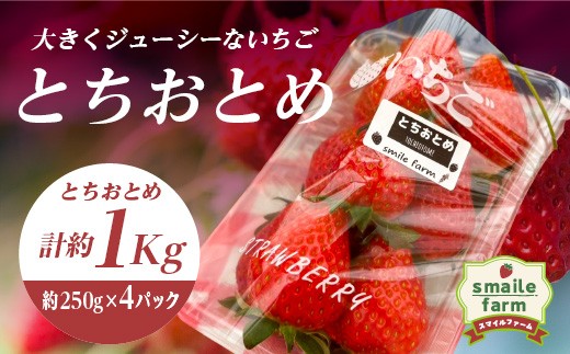
                  スマイルファーム 大きくジューシーないちご とちおとめ 約1kg FAF-0039
                