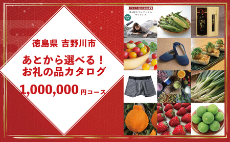 あとから選べる カタログ 100万円コース