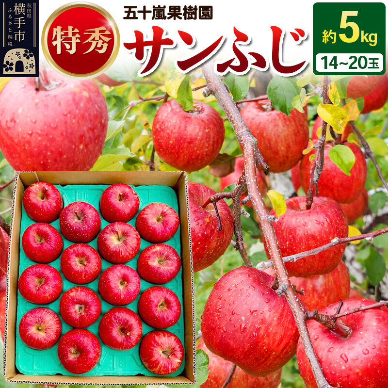 【先行受付】12月中旬より発送 サンふじ 【特秀】 約5kg（14～20玉）りんご 林檎 [先行予約 サンふじ サンフジ 林檎 リンゴ フルーツ 果物 【りんご】特集]