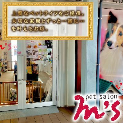 ふるさと納税 益城町 熊本県益城町 ペットサロン エムズ(M’s) エムズベーカリー 熊本馬肉レトルトパック 10P |  | 02