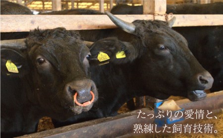 【美味しいお肉で食卓を飾る】佐賀牛 ロース 焼肉用 350g【Trade com 8】霜降り 焼肉 バーベキュー[HBO009]