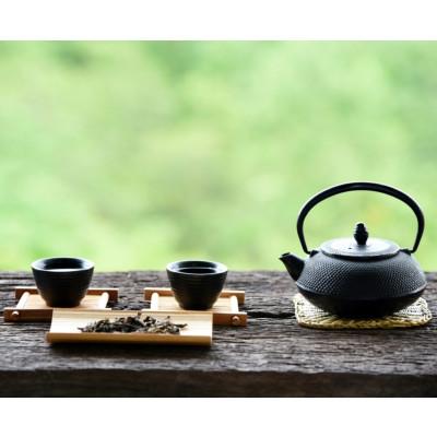 ふるさと納税 川崎町 【毎月定期便】八女茶　煎茶セット　100g×2袋(川崎町)全12回 |  | 01