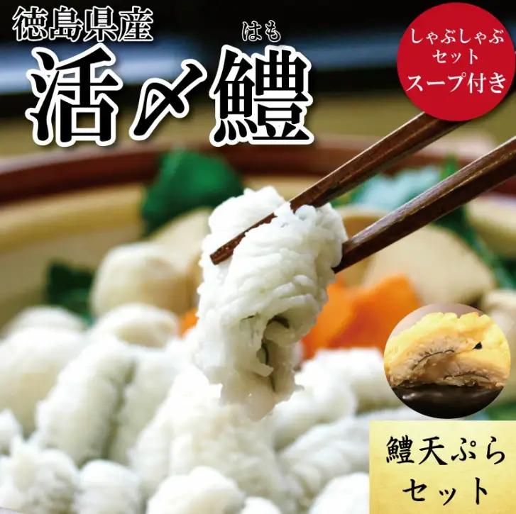 ハモしゃぶ 天ぷら セット 小松島産 鱧 ハモ