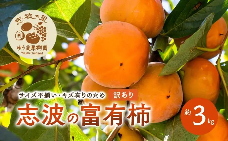 【訳あり】 規格外品 2026年12月発送 志波の富有柿  約3kg 規格外品