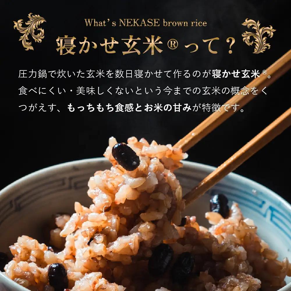 [定期便／3ヶ月] 寝かせ玄米ごはんパック 4種ミックス 160g×12食×3回 (1回あたり小豆ブレンド／黒米ブレンド 各4食、もち麦ブレンド／十五穀ブレンド 各2食) [2199]