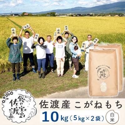 ふるさと納税 佐渡市 佐渡島産こがねもち もち精米10Kg(5Kg×2袋)【令和7年産】