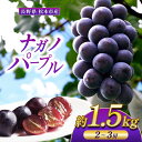 【ふるさと納税】【先行予約】2025年8月下旬頃発送 松本市産　ナガノパープル　1.5kg（2~3房） |特選 贈答用 果物 フルーツ ぶどう 葡萄 プレゼント ナガノパープル 信州産 長野県 松本市