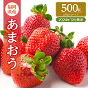 【ふるさと納税】いちご 福岡県産 あまおう 500g (250g×2パック) 先行予約 2024年12月より順次発送 果物 デザート ※配送不可：離島　朝倉市　お届け：2024年12月2日～12月28日