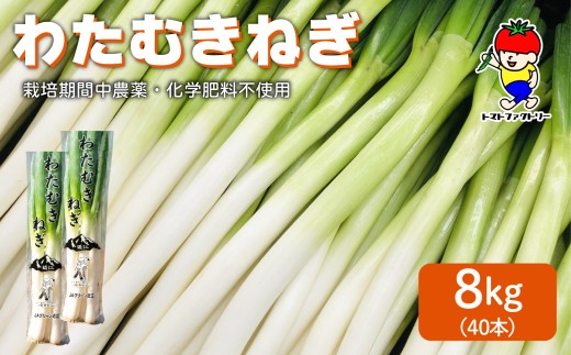 【先行予約】新鮮！ わたむきねぎ 8kg ≪2026年12月頃～発送予定≫ 日野町産 ねぎ 40本 産地直送 ネギ 白ねぎ 長ネギ ねぎ ねぎ焼 ネギ料理 ねぎ鍋 ネギサラ トマトファクトリー 野菜 ねぎ ネギ 長ネギ 白ネギ 詰め合わせ 白ねぎ 野菜 鍋 長ねぎ 葱 新鮮 採れたて 太い 季節 甘い 糖度 高糖度 あまい 食材 旬 栽培 農家直送 農家応援 滋賀県 日野町 ふるさと納税 送料無料