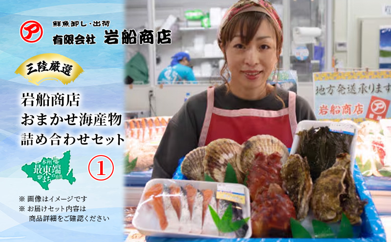 【三陸厳選】岩船商店おまかせ海産物詰め合わせセット（1）岩手県宮古市 海の幸 旬の魚 詰め合わせ
