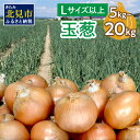 【ふるさと納税】【予約】玉葱 5kg 10kg 20kg Lサイズ以上 ( ふるさと納税 玉ねぎ たまねぎ 野菜 5キロ 10キロ 20キロ 期間限定 玉ねぎ生産量日本一 北見市産 選べる 配送月 発送時期が選べる )