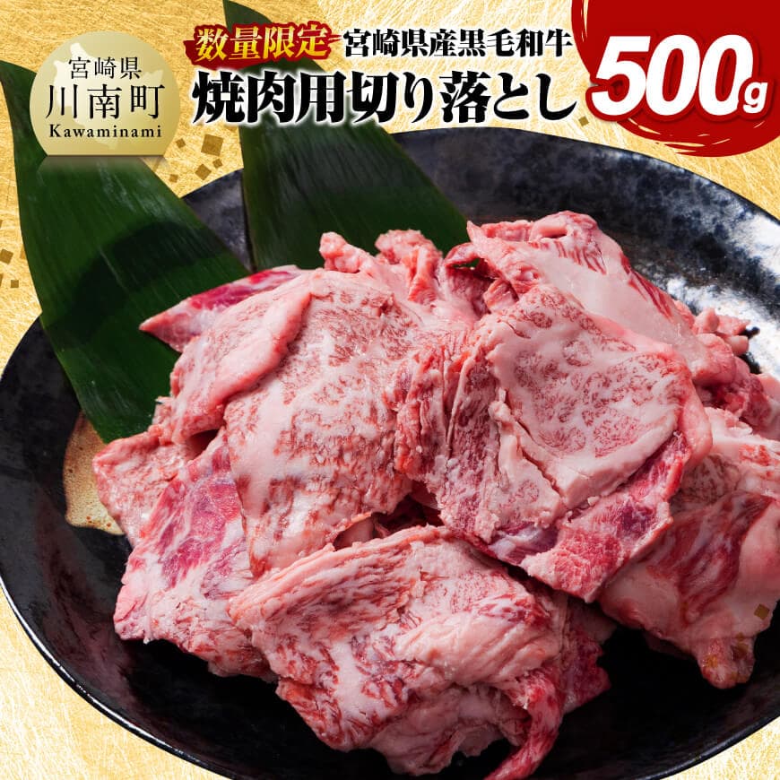 【ふるさと納税】※レビューキャンペーン※【数量限定】宮崎県産黒毛和牛　焼肉用切り落とし500g - 牛肉 国産 宮崎県産 宮崎牛 BBQ D11303