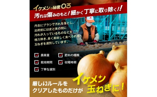 【2027年2月中お届け】JAきたみらい産 玉ねぎ Lサイズ以上 10kg ( タマネギ たまねぎ 野菜 )【210-0003-2026】