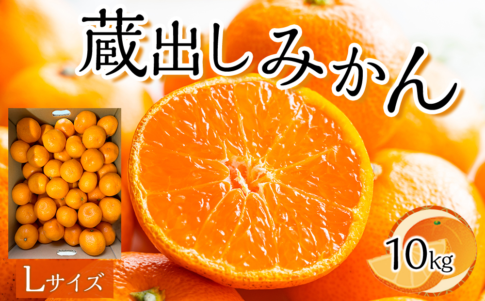 先行予約 蔵出しみかん Lサイズ（10kg）