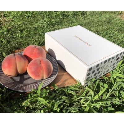 
            ＜強い甘みの大玉硬質桃 なつっこ＞本場山梨の品種指定約2kg　7月中旬より順次発送【1704727】
          