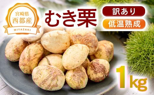 【訳あり】低温熟成栗 1kg 国産むき栗 糖度2～3倍上昇  西都市産【先行予約】＜2.1-9＞　