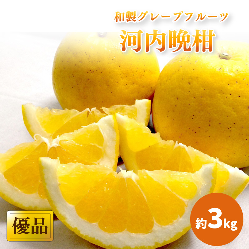 【2025年4月中旬頃から発送】 河内晩柑 優品 家庭用 約３kg｜和製グレープフルーツ 木成り熟成 爽やか みかん ミカン 蜜柑 甘い すっぱい 酸っぱい 酸味 数量限定 期間限定 愛媛県産 甘み 香り 柑橘 松山市 新鮮