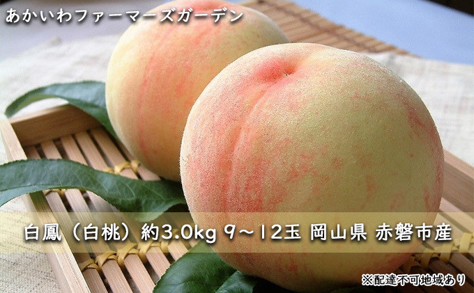 
桃 2024年 先行予約 白桃 白鳳 約3.0kg 9～12玉 もも 岡山県 赤磐市産 フルーツ 果物 あかいわファーマーズガーデン
