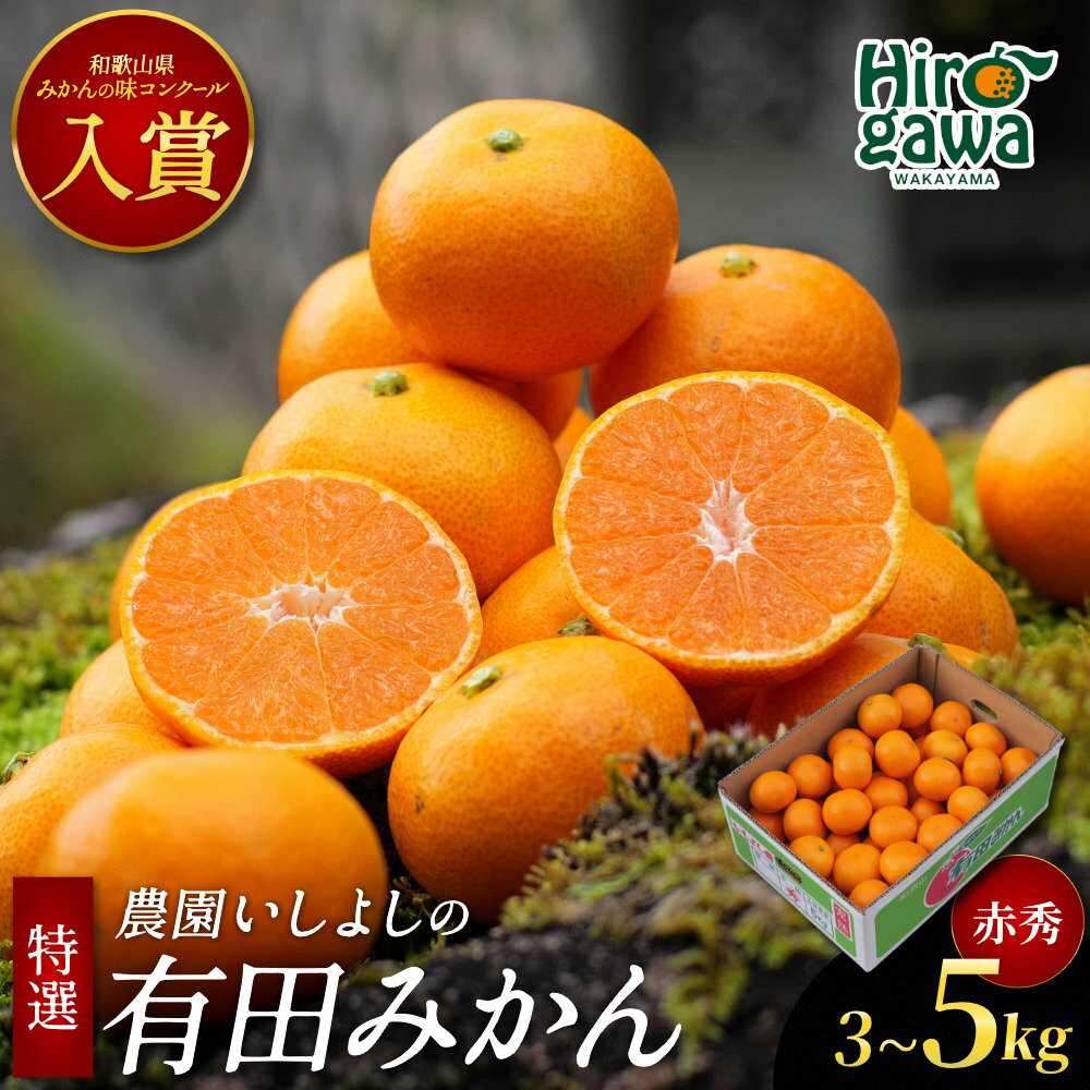 【ふるさと納税】 有田 みかん 特選 赤秀 【 創業120年 農家直送 】 / 温州みかん 有田みかん 甘い ギフト 贈答 高級 和歌山 柑橘 3kg 5kg 10kg 15000円 18000円 ※11月中旬～1月中旬に順次発送 //mandarin