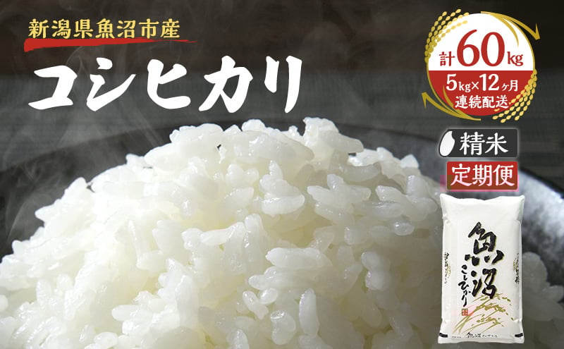 
                  [№5762-0968]【定期便：雪国逸品 精米5kg×12ヶ月】越後魚沼郷 魚沼産コシヒカリ お米 人 自然調和 ミネラル 奇跡 自然環境 努カ 香り つや 粘り 極上 
                