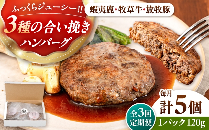 
            【全3回定期便】【蝦夷鹿×牧草牛×放牧豚】ハンバーグ 5個 《厚真町》【GOODGOOD株式会社】 ハンバーグ 鹿肉 牛肉 豚肉 ジビエ 小分け 冷凍配送 北海道 [AXBP019]
          