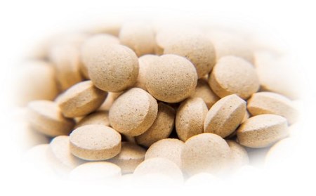 E-23 冬虫夏草　快福