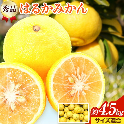 【ふるさと納税】【先行予約】【さわやか柑橘】秀品 和歌山県産 はるかみかん 約4.5kg（サイズ混合） 日高町厳選館 《2026年2月中旬-4月中旬頃出荷》和歌山県 日高町 みかん はるみ 柑橘 フルーツ 果物