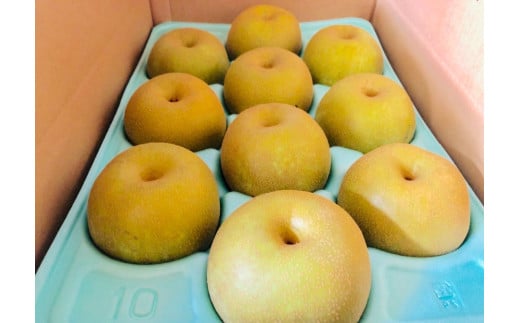 南信州産 訳あり 和梨 約5kg | 果物 フルーツ 果実 和梨 梨 幸水 豊水 南水 あきづき 訳あり わけあり 長野県 飯田市 信州