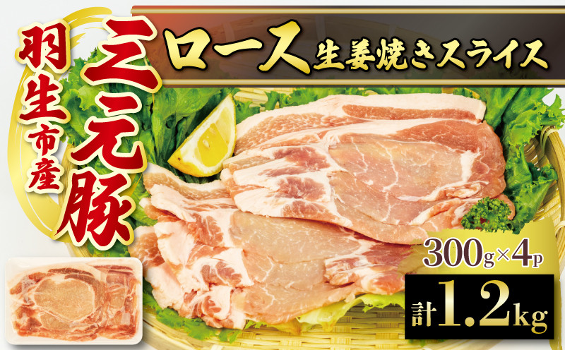 
ロース 生姜焼き 1.2kg ( 300g ×4P） 国産 三元豚 冷凍 真空 小分け 個包装 たっぷり 大容量 大きめ 厚切り 豚肉 豚 ブタ ポーク ジューシー お弁当 おかず 惣菜 晩ごはん 贅沢 ギフト お中元 御中元 贈り物 贈答 埼玉県 羽生市
